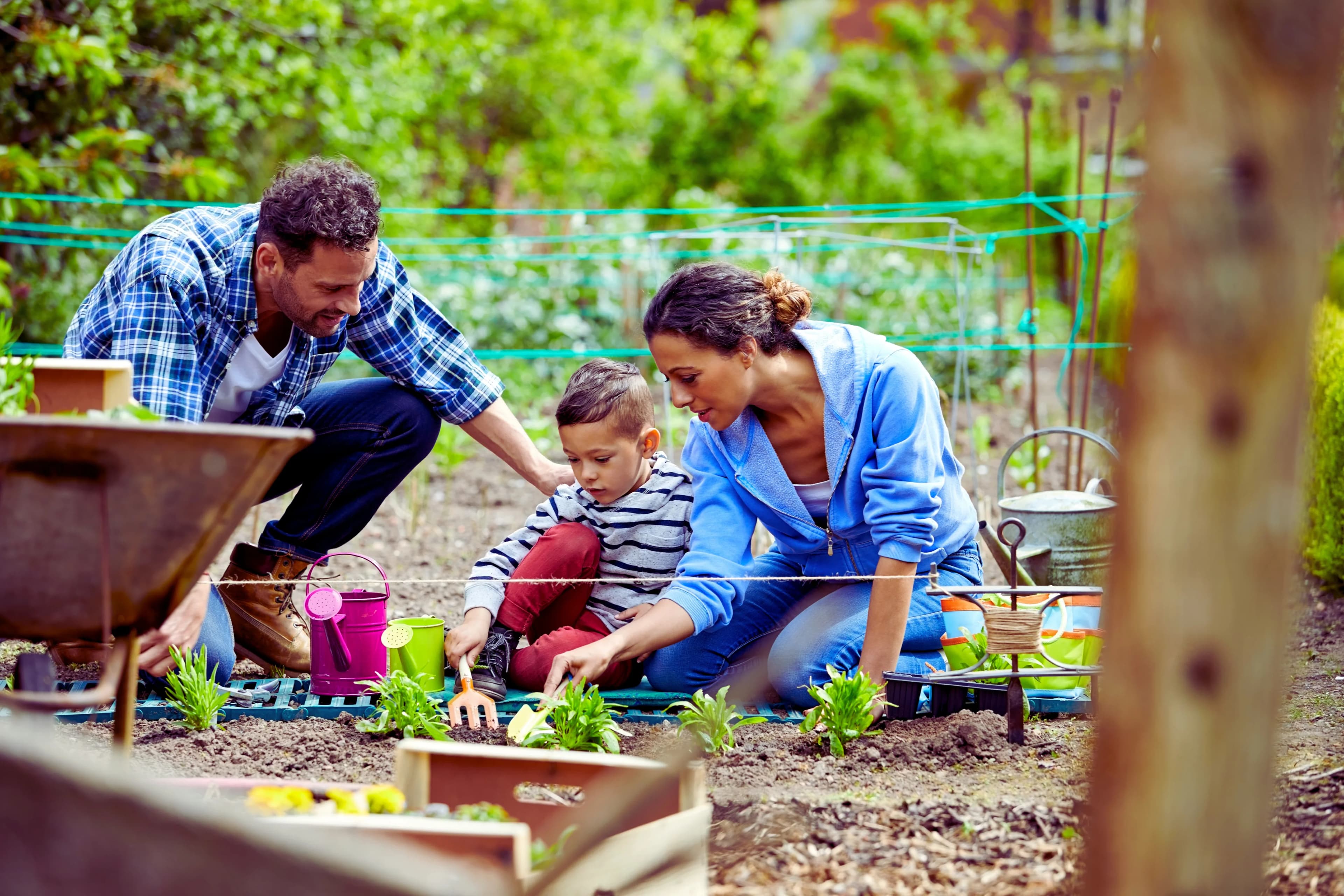 Cultivating shared spaces, gardens, and community life across generations