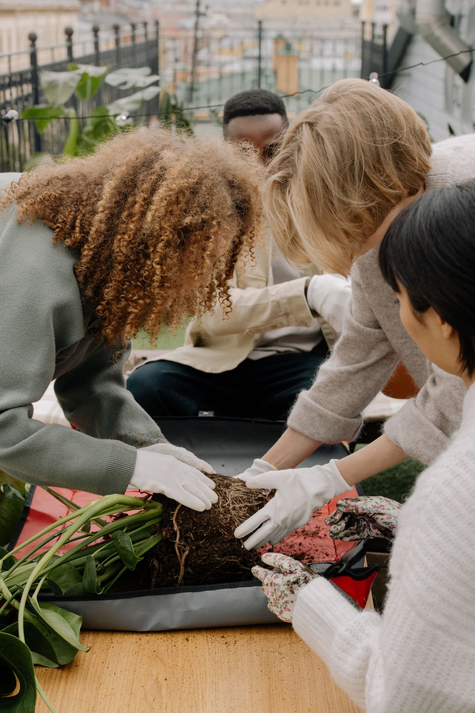 Sociocracy in Everyday Practice: Kitchen Rhythms and Task Rotations