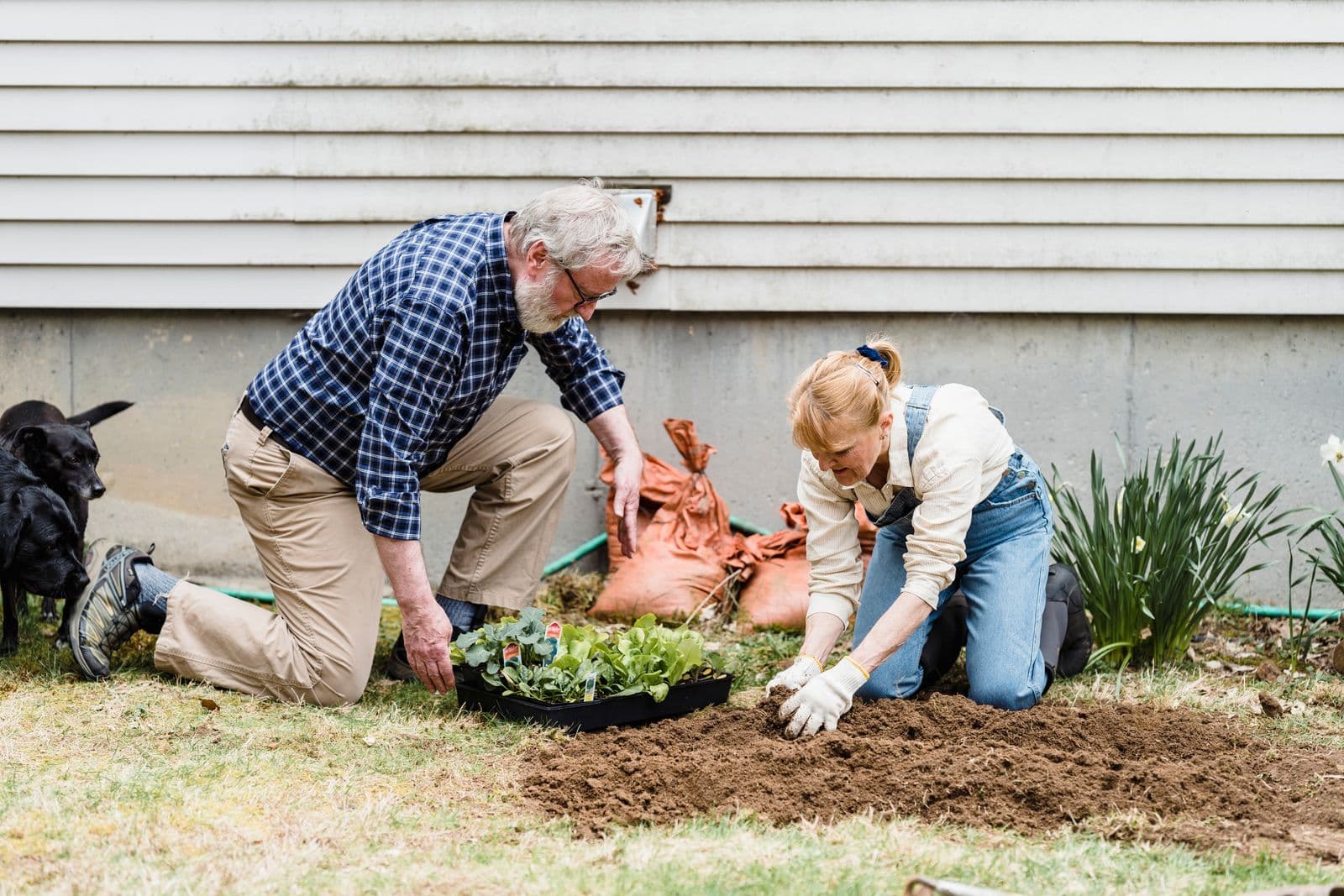 Cultivating common garden beds and tending shared food systems together
