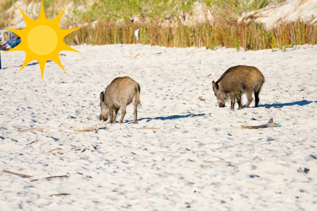 Rethinking Growth: Finding Real Wealth in Nature and Community