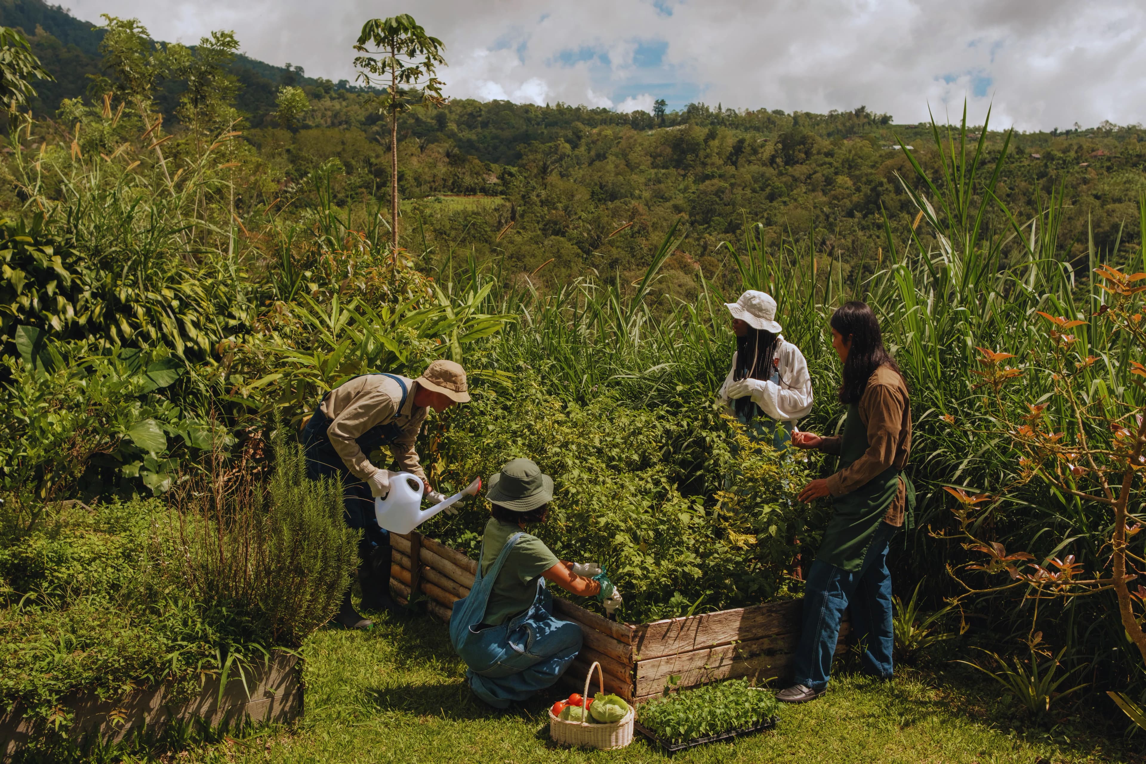 Community volunteers collaboratively tending organic garden beds and permaculture terraces in a lush valley